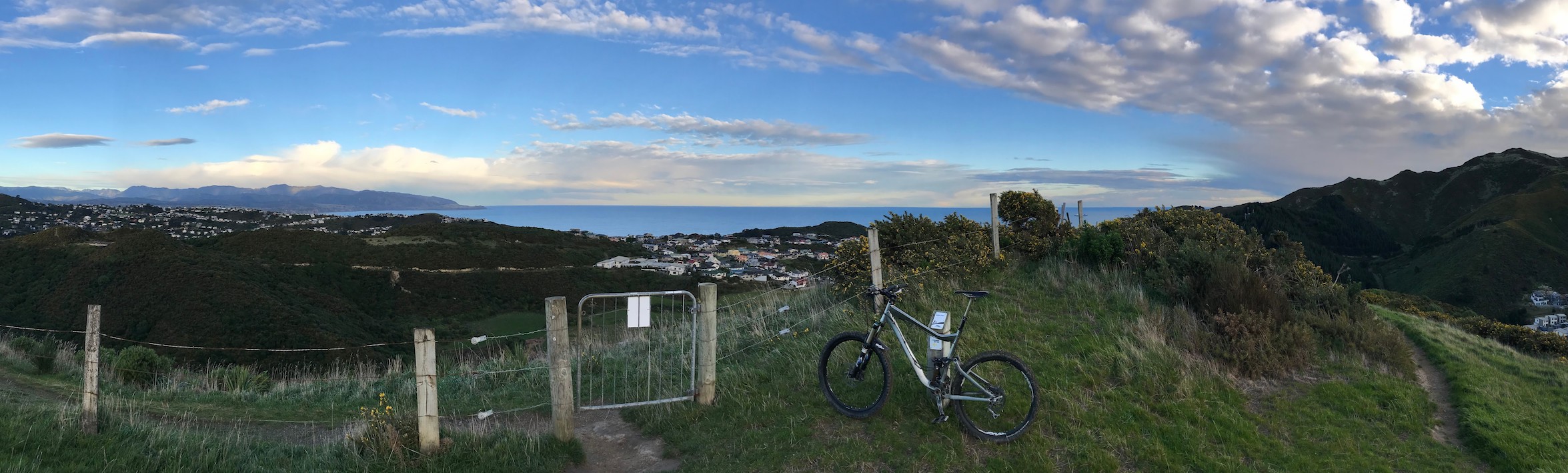 Sydney bachelor life, behind, and urban farming, sabbatical and family life in New Zealand ahead of me alt text
